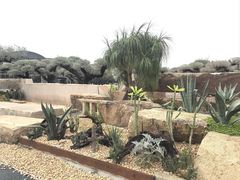 -陈村花卉小镇-花卉世界