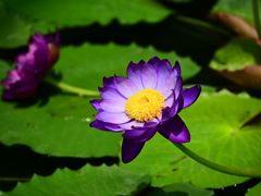 -国家植物园南园