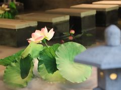 -轻武堂传统射箭·功夫茶·射击体验馆(仁和新城店)