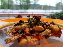 -向外鱼乐·土菜·虹鳟鱼