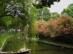 -泰州凤城河风景区-泰山公园