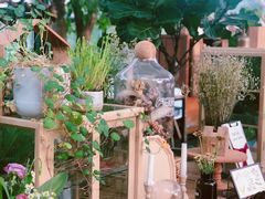 -北马山庄植趣咖啡