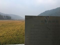 -南泥湾风景区