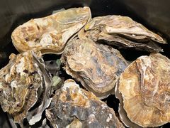 高压锅生蚝-蚝翅·海鲜粥·烧烤·羊肉季(鄞州万达店)