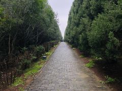 -秦始皇帝陵博物院-丽山园