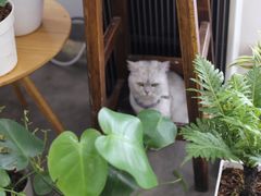美喵-研途咖啡馆(健康路店)