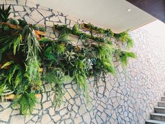 -白茶原·一片叶子
