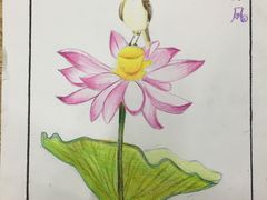 -上海峰子美术教育培训机构(杨浦店)