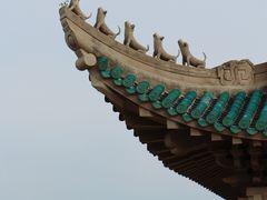 -武汉大学-樱园