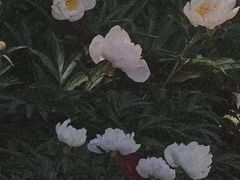 -蛙舍·炭烧牛蛙(东百中心店)