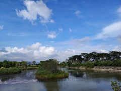 -芒洲湿地公园