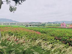 -光明小镇欢乐田园