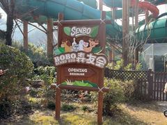 -杭州开元森泊度假乐园