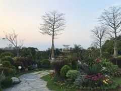 -东莞植物园