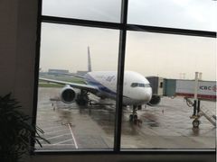 ANA-全日本空输株式会社(上海办事处)