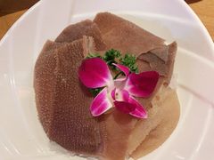 臻选脆弹毛肚-竹犇番茄火锅(长风街店)