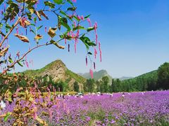-百里山水画廊