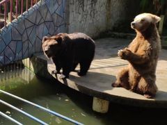-贵州森林野生动物园