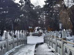 -长春市南湖公园