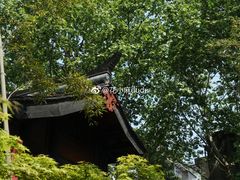 -鱼桥巷·美学川菜