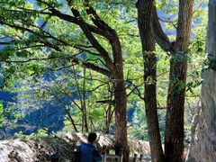 -洛阳白云山景区