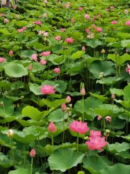 -大望京儿童游乐场