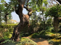 -Chom Cafe and Restaurant