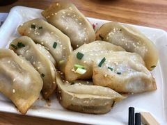 鲜肉锅贴-小姜锅贴(凤凰街店)