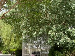 -党河风情线国家水利风景区