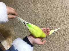 -上海大自然野生昆虫馆(东方明珠·爬宠昆虫探索中心)