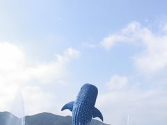 -珠海长隆海洋王国