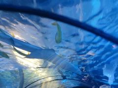 -太平洋海底世界