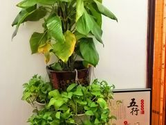 -老成都·古法采耳·禅洗头疗(四川总店)