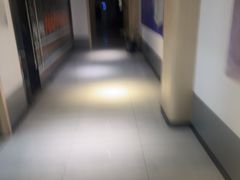 -汇乐游泳馆(莲花南路店)