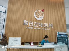 -联合动物医院(光谷诊疗中心)