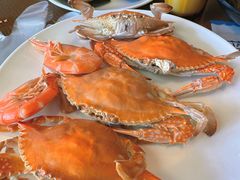 -青岛蓝海御华大饭店（金沙滩店）·蓝钻国际美食自助百汇