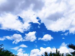 -长春公园(普阳街道)