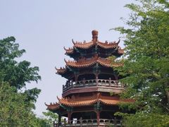 -神光山国家森林公园