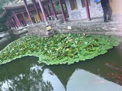 -华清宫景区