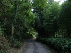 -黄公望隐居地