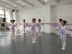 -西安小天鹅艺术团(曲江Alice店)