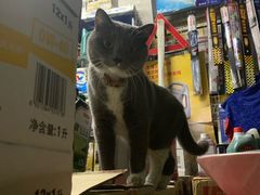 -苏坦土耳其餐厅(白云宾馆店)