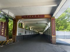 -华西村