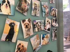 -爱妮康宠物医院·干细胞免疫细胞·肿瘤·心脏(张江店)