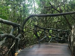 -呀诺达热带雨林
