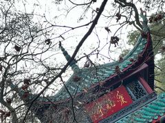 -岳麓山风景名胜区