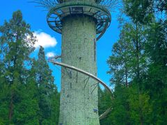 -黄海国家森林公园