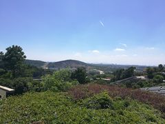 -大金山风景区