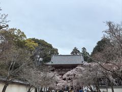 -醍醐寺