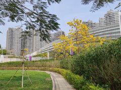 -香港ELEMENTS圆方